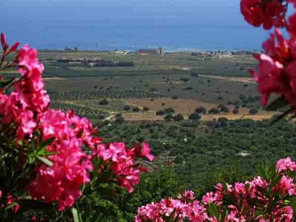 Frühling auf Kreta Blick über Sfakia